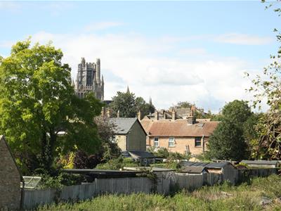 Picture 21